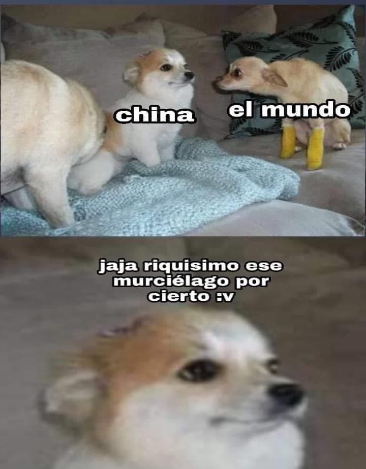 ordure (@ordurebizarree) on Twitter photo 