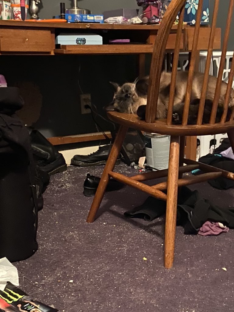 Sleeping and Adorable