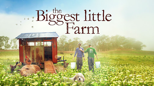 HeidiArjes's tweet photo. Movie recommendation - if you need a pick-me-up, check out 'The Biggest Little Farm'. It is a good one. https://t.co/P4eqzRF50H