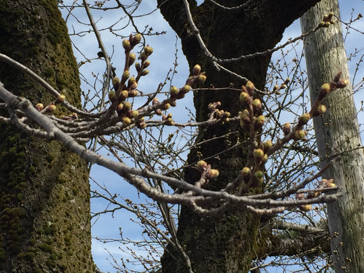 秋、太郎 tweet media