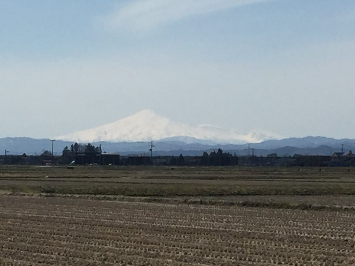 秋、太郎 tweet media