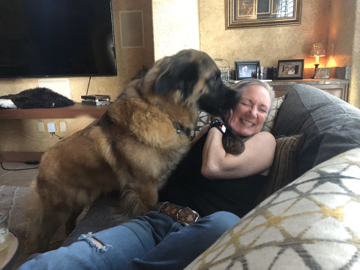 boyzx6's tweet photo. @TallShipProds @Outlander_STARZ This is Chel just one of the best things about being quarantined with loved ones. Kisses! #petlander https://t.co/XDjVE86TFf