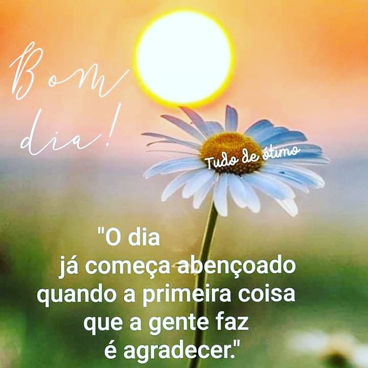 Sandoval Advogado on Twitter: Sandoval Advogado on Twitter: