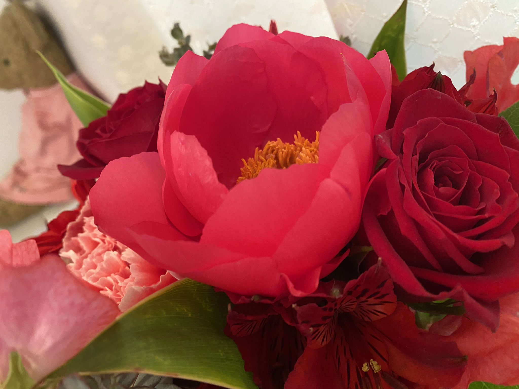 ともい このお花の名前が分からない チューリップぽい雰囲気もあるけどちょっと違う気がするとてもかわいい 花の名前 花束 T Co Wrzzz5wh0m Twitter