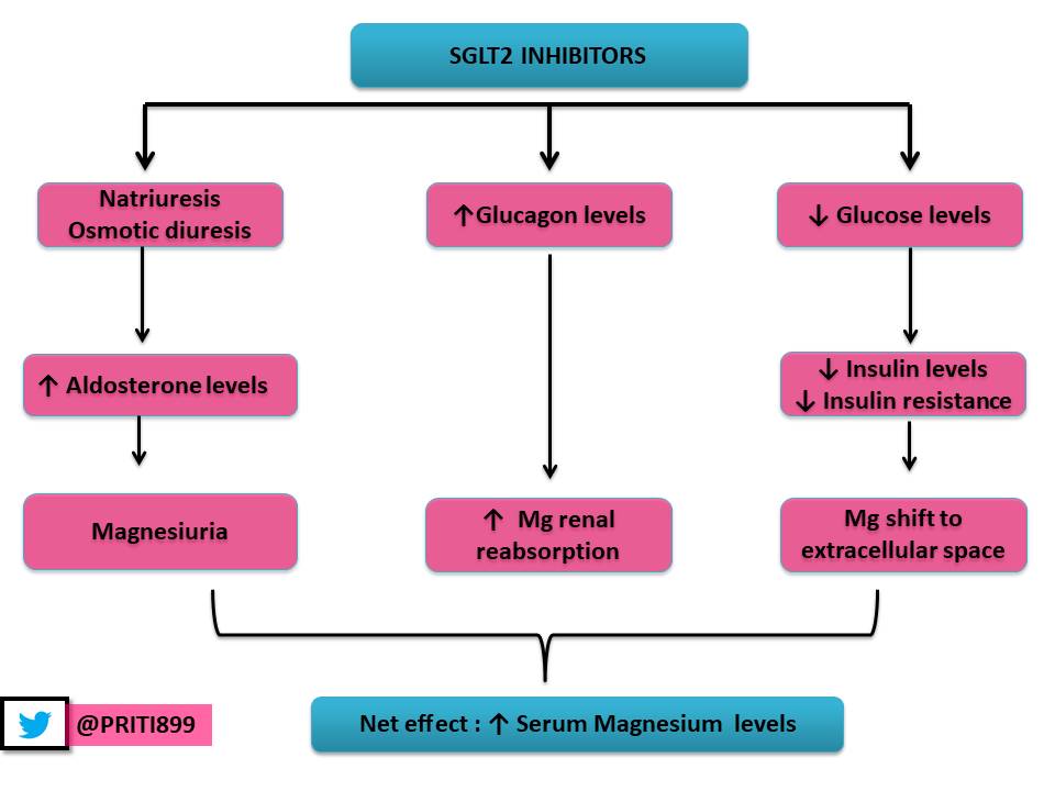 SGLT2i leads to:Reduction of insulin resistance ↓ Mg excretion through TRPM6Natriuresis /osmotic diuresis  ↓ECV  hemoconcentration Mg redistribution to ECV.Net effects of SGLT2i  → ↑ Mg levels https://www.ncbi.nlm.nih.gov/pubmed/27628105 