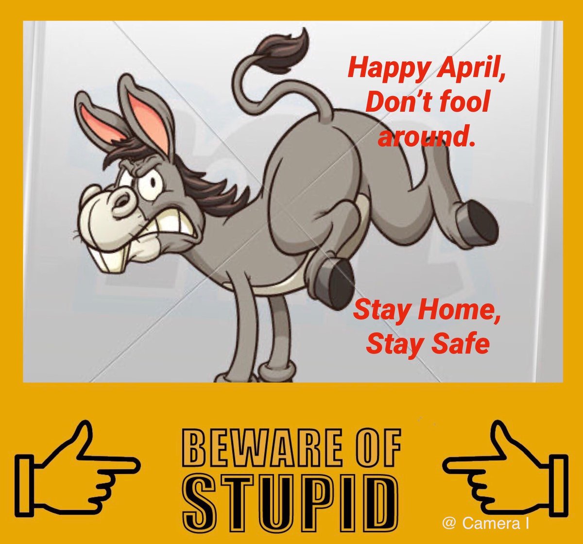 ShiuliMukherji's tweet photo. Terrible things are happening to donkeys now!
If you side with them, you'll be labeled as one.
#dailymemes 
#MakeItFlat 
#WednesdayThoughts https://t.co/c6ooEbRlPo