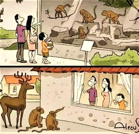 zaidhdez's tweet photo. Las vueltas que da la vida #VoyConEncierro https://t.co/murNSYhsJr