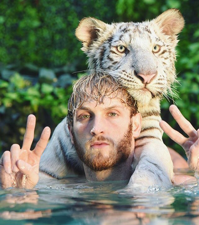 Well where I live it 12:05am which means happy Birthday Logan Paul   