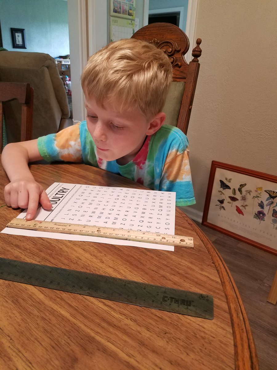 mgallego845's tweet photo. Mrs. Wilder sent our 2nd graders a video of a calf with this question. "If I wanted to measure how tall she is would it be better to use inches or feet (one foot is the length of a ruler)? Which would I use more of and why?" Thank you for #makingmathhappen @Bowen_Bobcats https://t.co/2weyQRkZhz