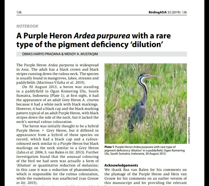 DimasHPradana's tweet photo. Alhamdulillah. Published! #BirdingAsia https://t.co/x6rHkHWz07