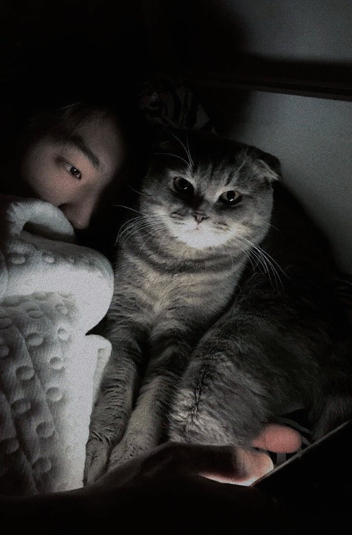 ιм_ѕανє ft.วันนี้จะอ่านหนังสือ tweet media