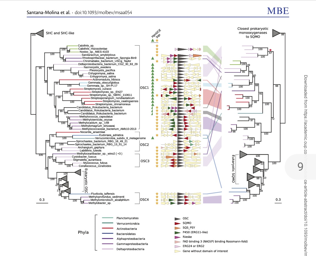 Phylogenetic reconstructions combined with genomic contexts show that some bacteria have gene clusters involved in sterol metabolism and with doubtful eukaryotic origin. One important question here was, why some bacteria have retained the ability to produce sterol?