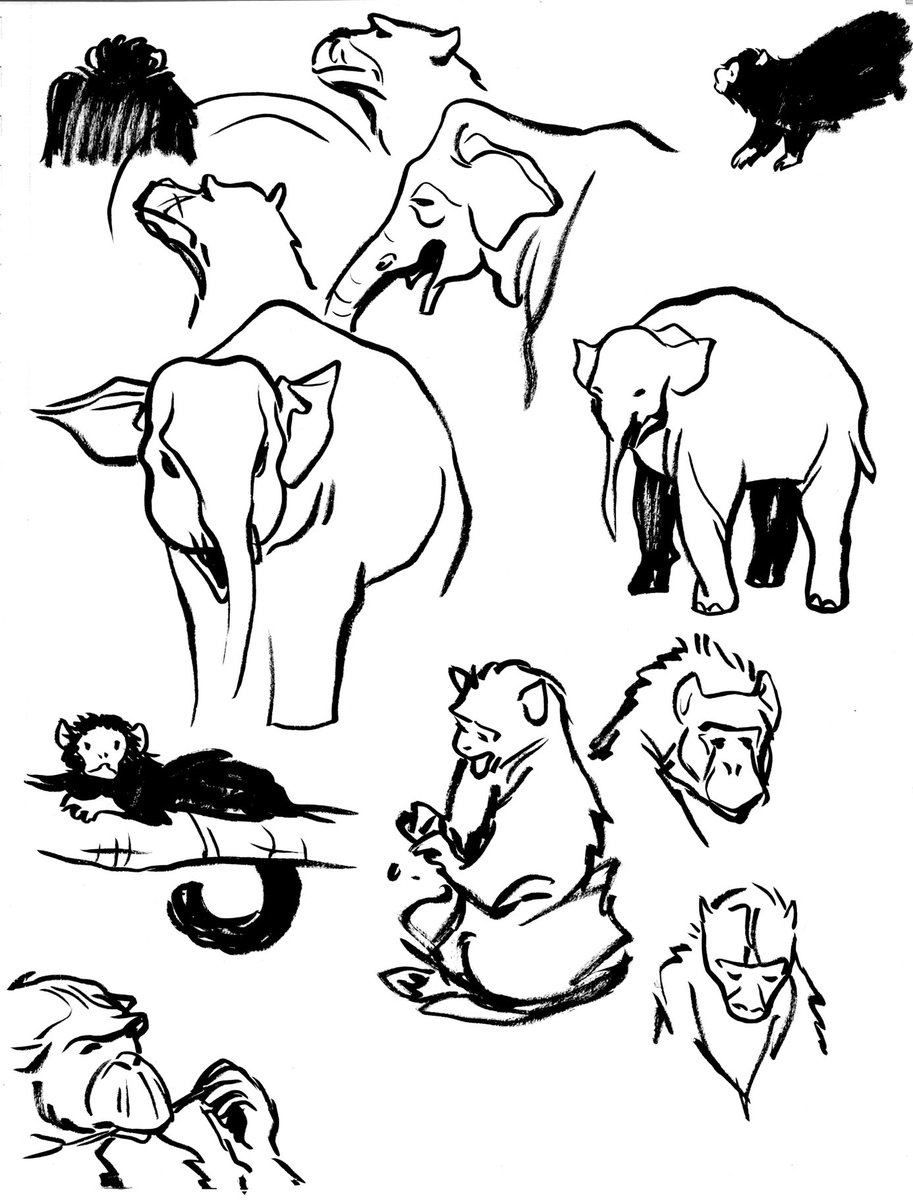 From the day I started sketching with pen! I'd heard that advice before, but couldn't actually commit to it until this day in 2012 when I got into the zoo, opened my bag, and saw that I'd forgotten my pencil. It was painful at first, but I've been sketching with pen ever since! 