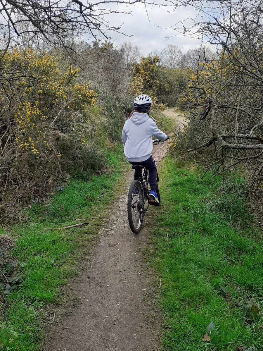 cgormley36's tweet photo. @Wentworthonline PE Tuesday Grace always trying to discover new routes on the heath https://t.co/QTqCZxXxpC