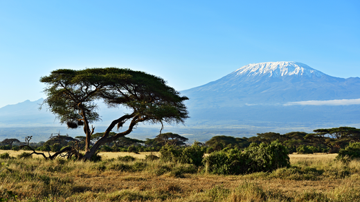 DHLAfrica's tweet photo. Fill in the missing answer: The tallest mountain in Africa is Mount Kilimanjaro, with its summit at ______ meters from its base. #DHLDelivers #QuickQuiz https://t.co/nPTq4wqJ2k