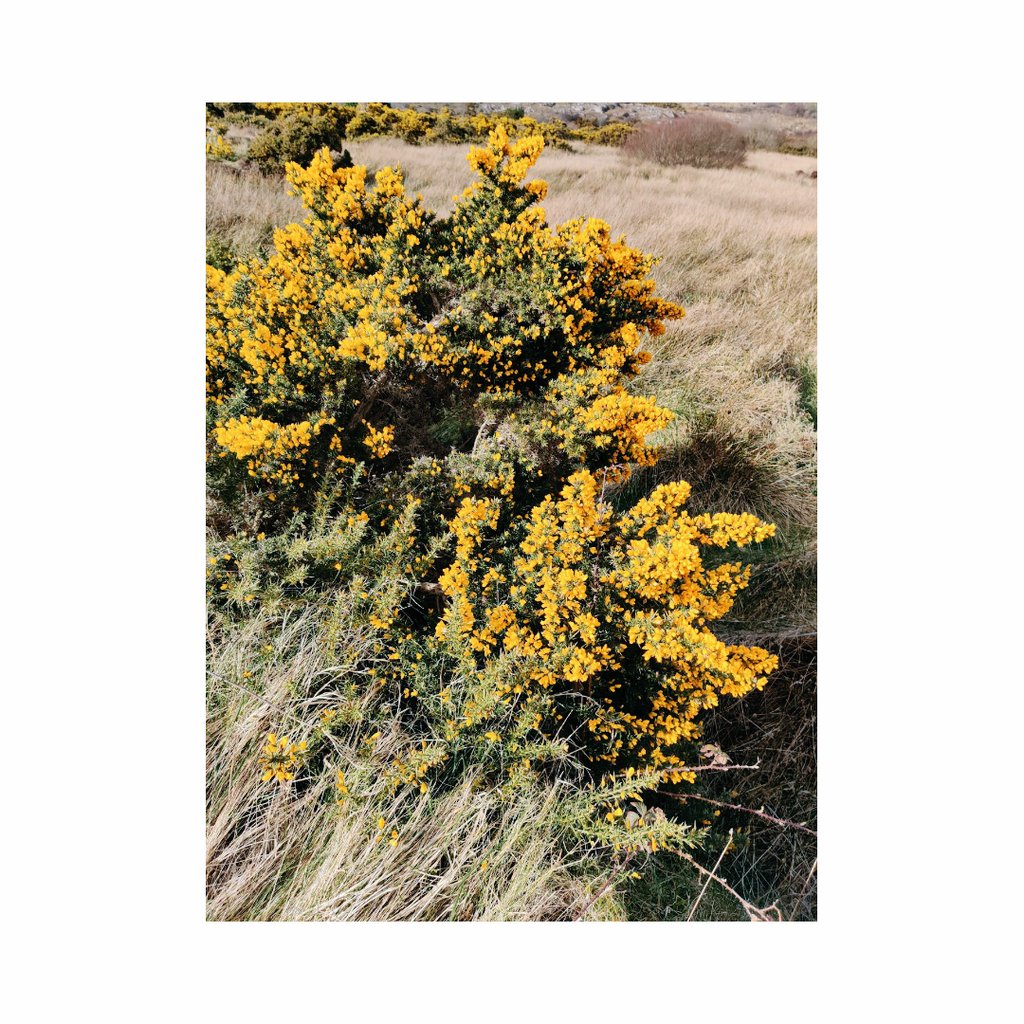 shootthroughit's tweet image. Daily route.