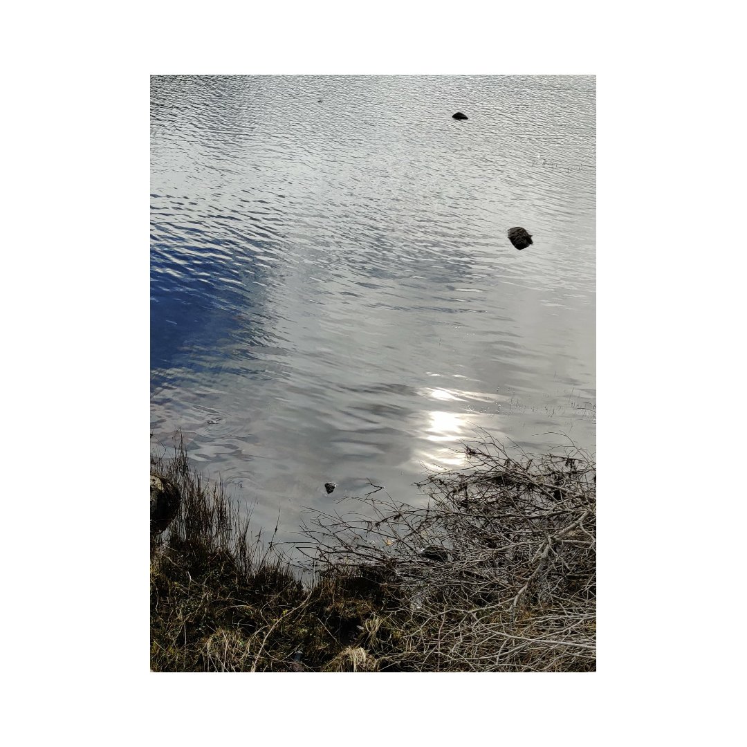 shootthroughit's tweet image. Daily route.