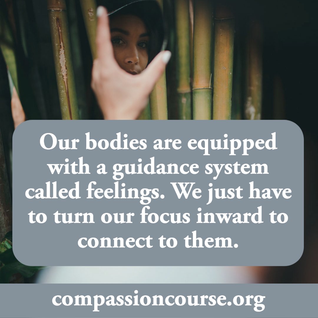 compassioncours's tweet photo. #compassion #empathy #peace #worldpeace #marshallrosenberg #nonviolentcommunication #nvc #gandhi #deepakchopra #oprah #tonyrobbins #personaldevelopment #brenebrown #communication #humanity #life #nonviolence #feelings #emotions #emotionalintelligence #landmarkforum #albertellis https://t.co/HFX6mZwP6k