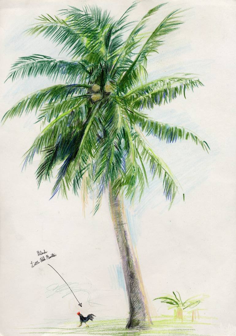 森の絵 ココヤシ タヒチ島のやつスケッチ 絵 植物 緑 植物 Green Painting Giant 写実 風景 Colorpencil Scenery ヤシ ココヤシ 椰子 Tree Sketch スケッチ ココ椰子 色鉛筆画 色鉛筆 ヤシ Palmtree Coconut タヒチ タヒチ島