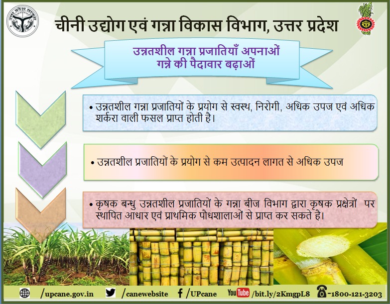 "उन्नतिशील गन्ना प्रजातियां अपनाएं गन्ने की पैदावार बढ़ाएं"

upcane.gov.in
caneup.in for knowing calendar and other things.
E-ganna app

<a href="/UPGovt/">Government of UP</a> <a href="/SureshRanaBJP/">Suresh Rana</a>