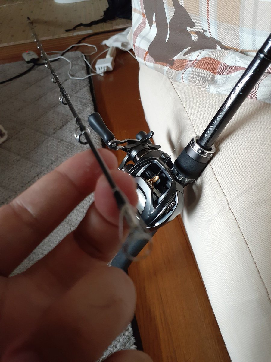 Yuta_DogTrainer tweet picture