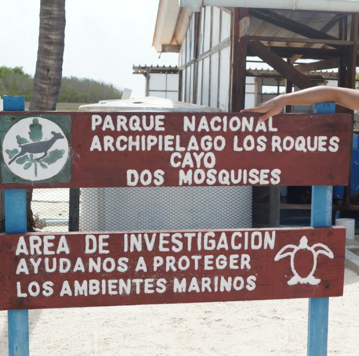 Trabajo admirable el que realizan en nuestro Parque Nacional Archipiélago Los Roques. Cayo Dos Mosquises 

Área de investigación de las tortugas 🐢 asombroso 👏🏻🇻🇪

Ayudemos a proteger los ambientes marinos

#losroques #golosroquesvzla #venezuela #archipielago #turtle