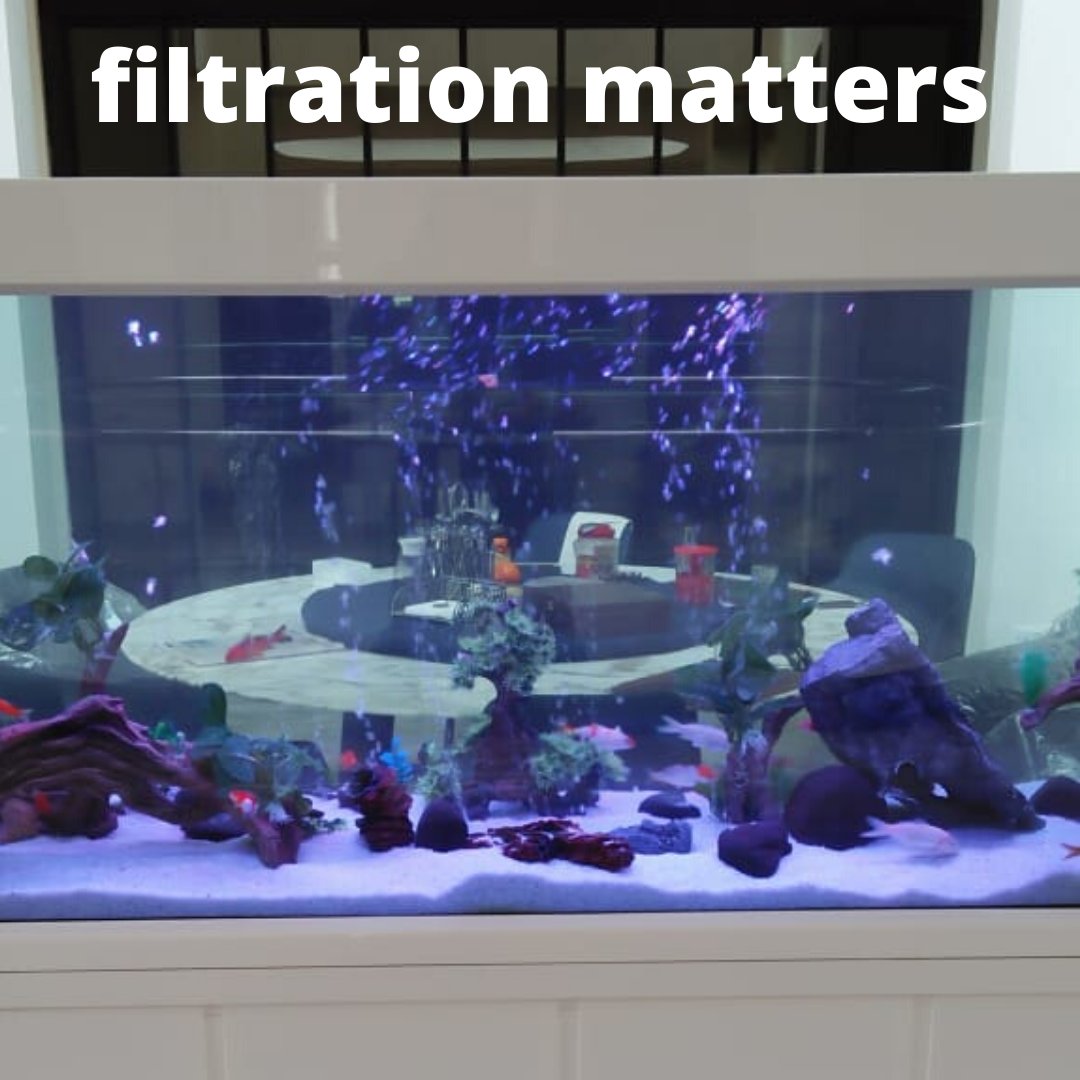 Nairobipethouse's tweet photo. #AquariumAdvice
 
Filtration is very important for any aquarium and the more filtration the better. 
 
Overwhelmed?  DM or call us @ +254-788-346595 today!
#waterconditioning #freshwater #aquariumfish #aquaspace #aqualife #fishlife https://t.co/7ftUgBV46M