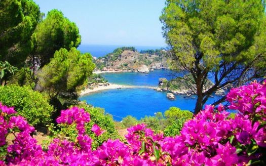 PatriziaTenda's tweet photo. #colazione d'aprile: Lo splendore dell'aprile italiano era ai suoi piedi. Il sole la inondava di luce e il mare giaceva addormentato.
Elizabeth Von Arnim
#scritturebrevi 
@diconodioggi https://t.co/4LpPGJ0INX