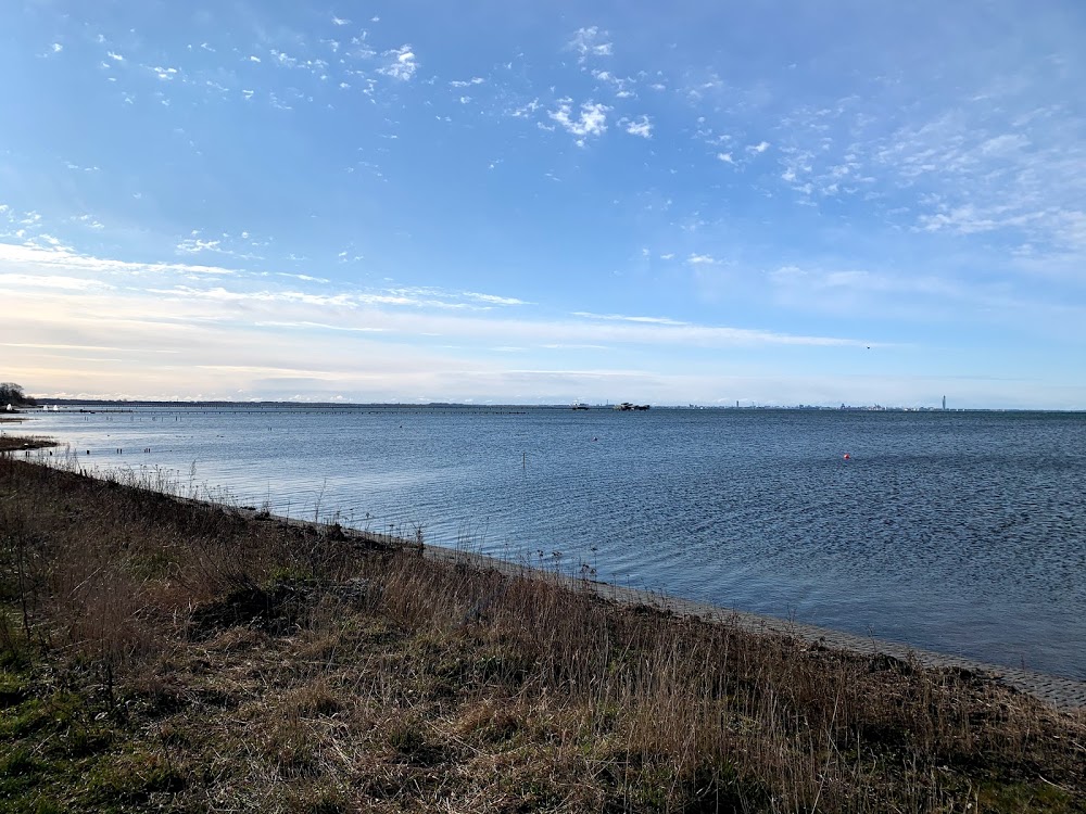 Löpning i Mars gav 277 kr till insamlingen cancerfonden.se/insamlingar/1-… 
<a href="/1krkm/">Insamlingen 1 kr/km</a>

  #runstreak