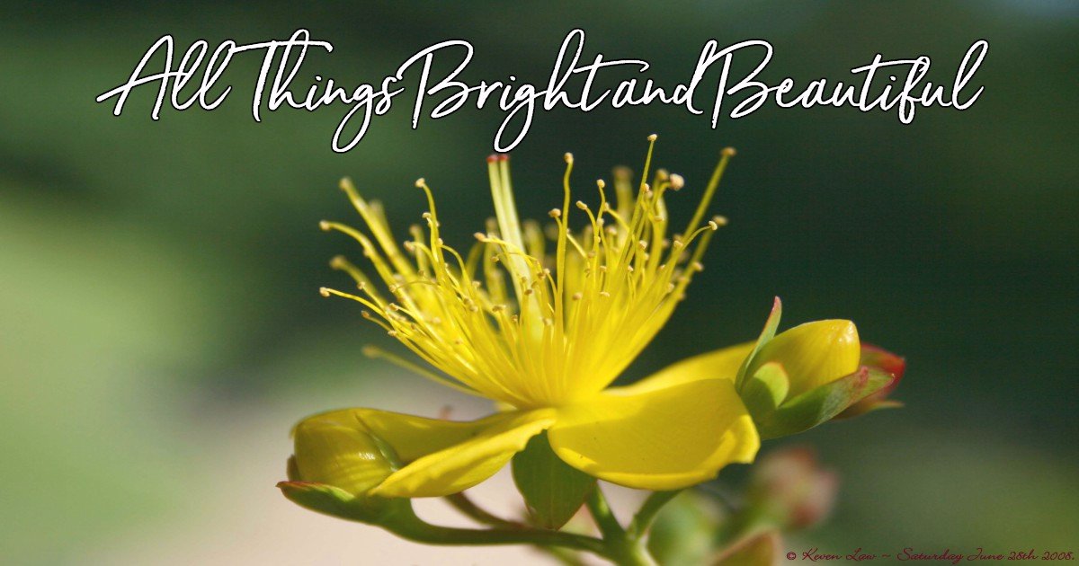 lovewon4me's tweet image. The most beautiful things in the world cannot be seen or even touched, they must be felt with the heart ~ Helen Keller #operationlove #beautifulday #heartisstrong #becourageous
