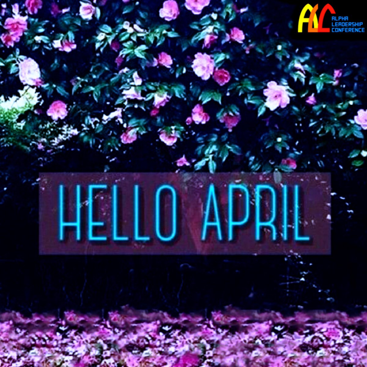 PstTolaOdutola's tweet photo. Happy New Month.

May The Almighty God remember you for good this month.

#PastorTolaOdutola #HappyNewMonth #NewMonth #AlphaLeadershipConference #GreatLeadershipConference #Leader #Leadership #Speaker #ALC #GLC https://t.co/uwcrDjsuCG