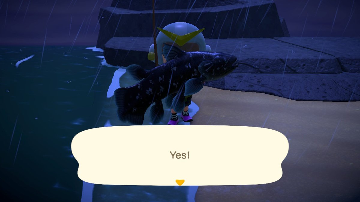 JacobSapp95's tweet photo. just caught 2 of these Coelacanth in a row  #AnimalCrossing #ACNH #NintendoSwitch https://t.co/RTVdmVcAmJ