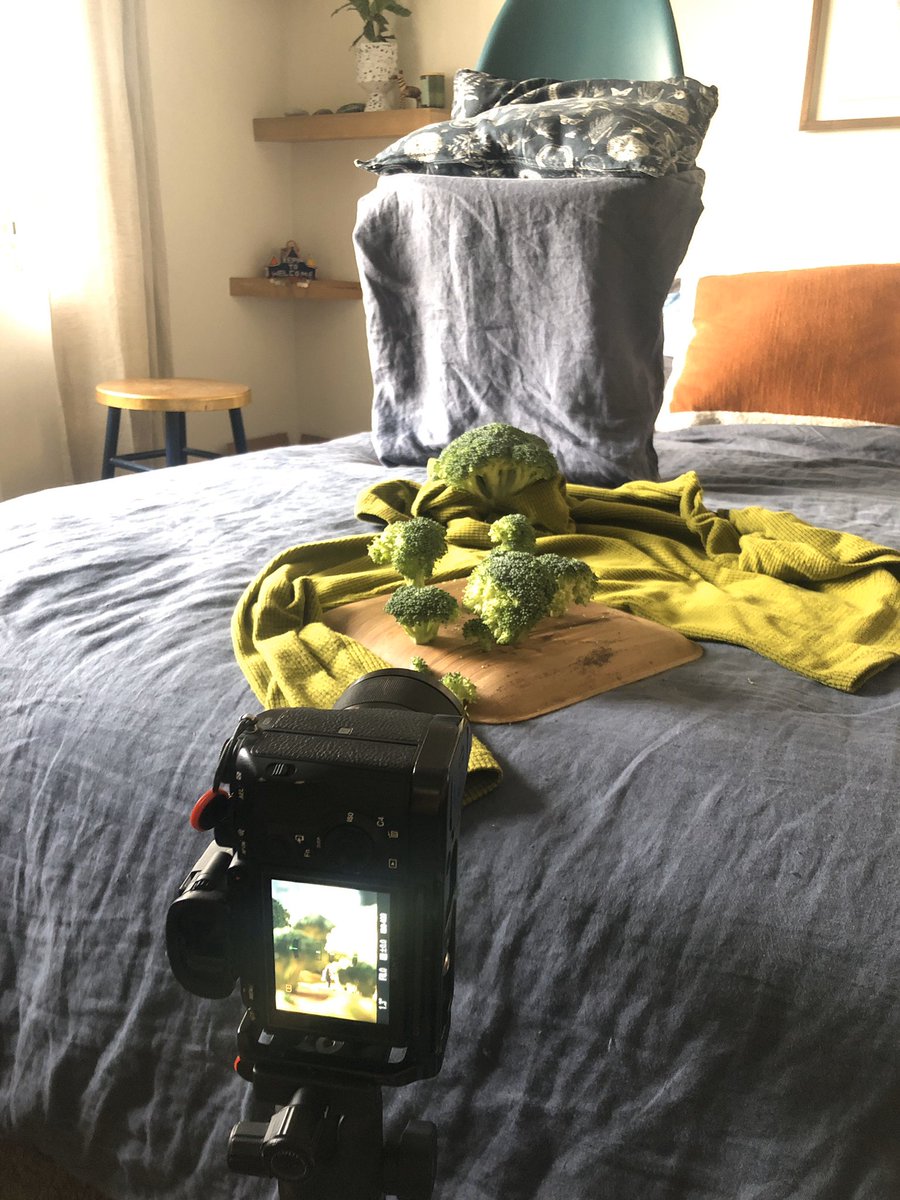 Erin Sullivan tweet media