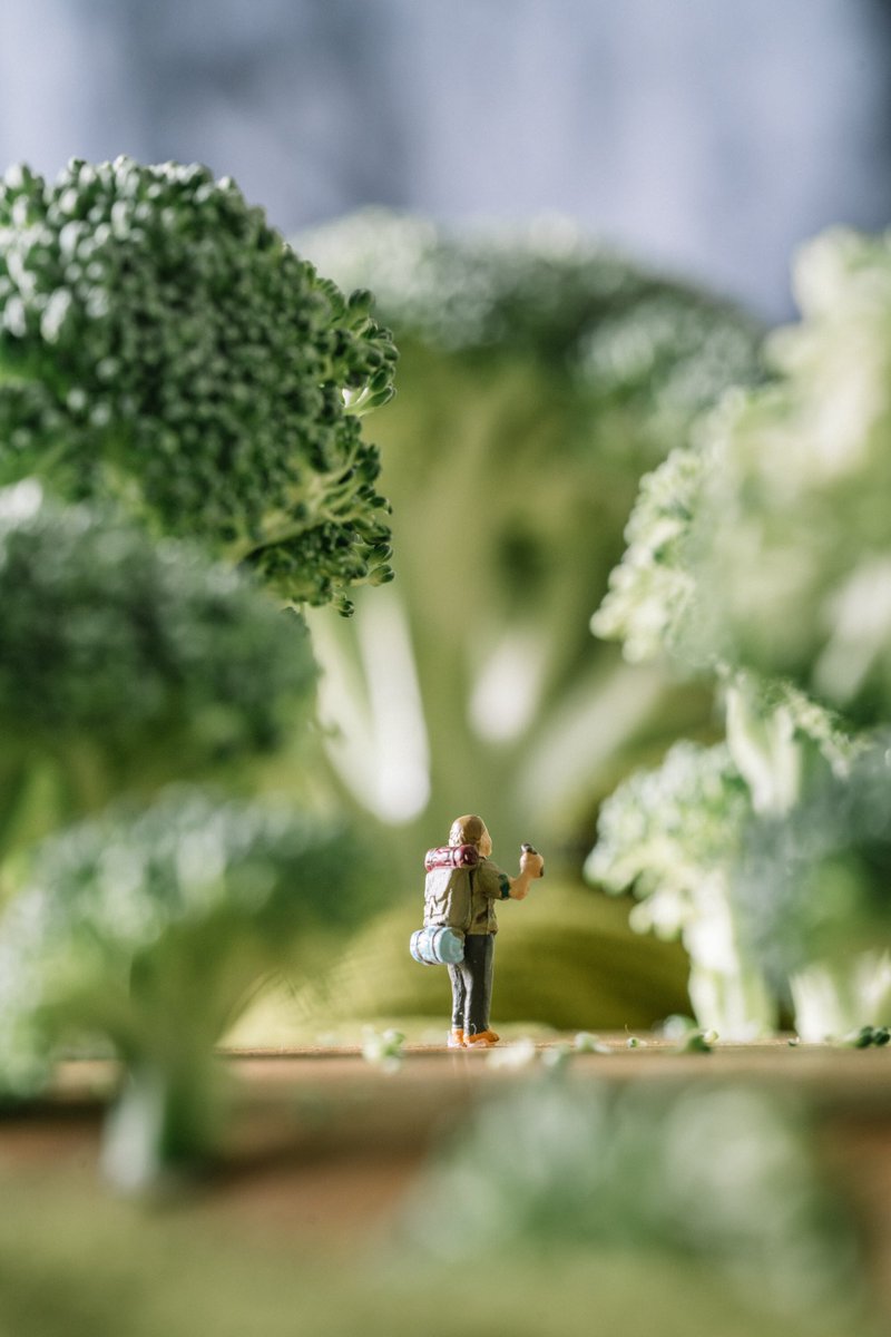 Erin Sullivan tweet media