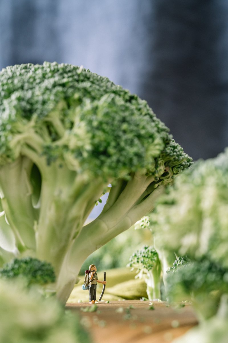 Erin Sullivan tweet media