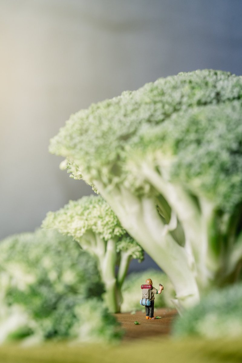 Erin Sullivan tweet media