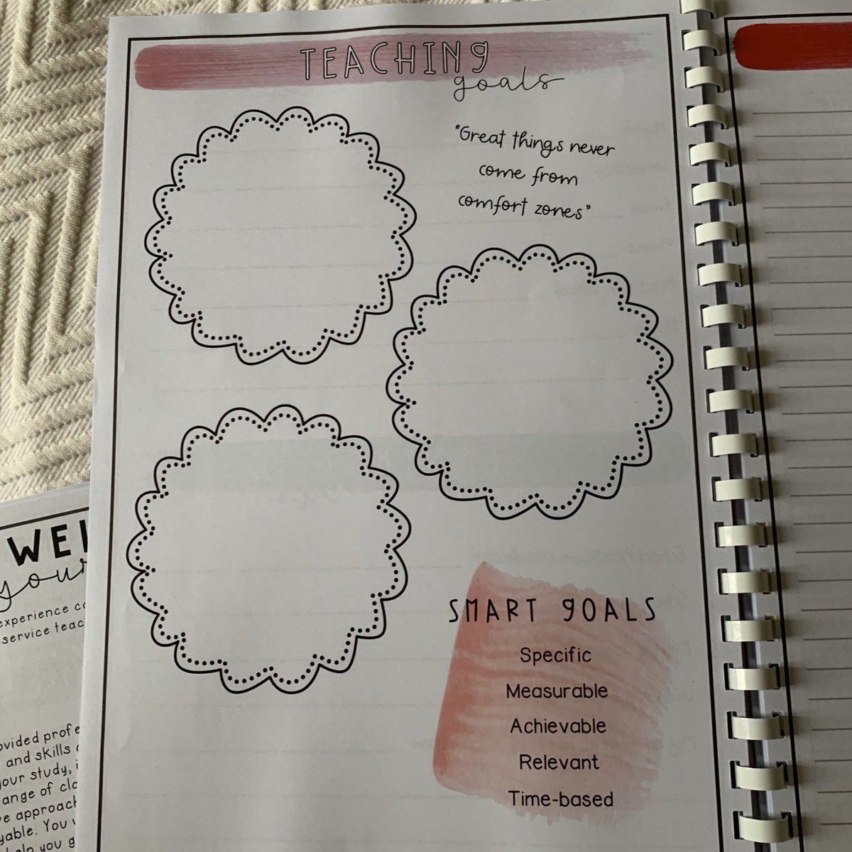 Elissa Serratore tweet media