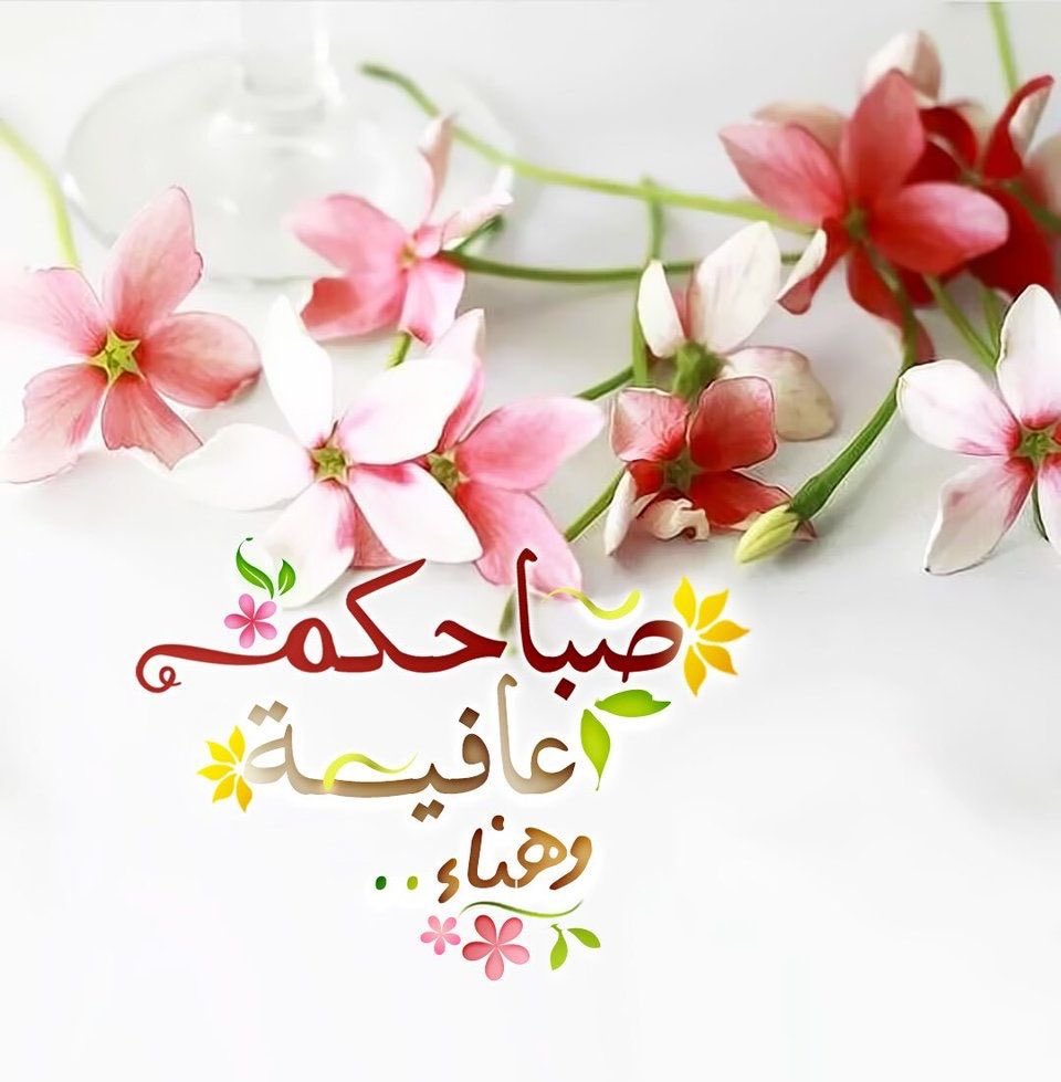 ComOman99999's tweet photo. أصبحنا وأصبح الملك لله 
سبحان الله وبحمده سبحان الله العظيم
اللهم اغفر لنا ولوالدينا ولجميع المسلمين يارب العالمين 🌺 https://t.co/Fwzu3vOFsl