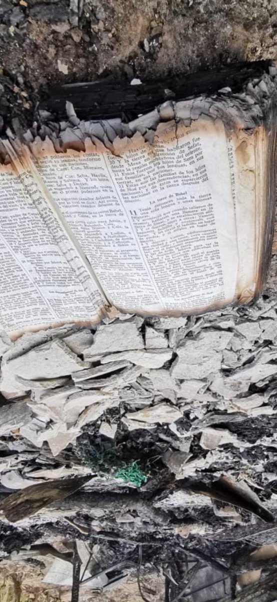 misol140's tweet photo. Hoy, entre los escombros del incendio al que asistió @ViviendaSV, @GobernacionSV y @PROCIVILSV se veía esta Biblia. Me ha impactado porque estaba entre todas las cosas quemadas y abierta con: Genesis 11 "La torre de Babel"
https://t.co/GyK150O4OC https://t.co/PES3btcqoK