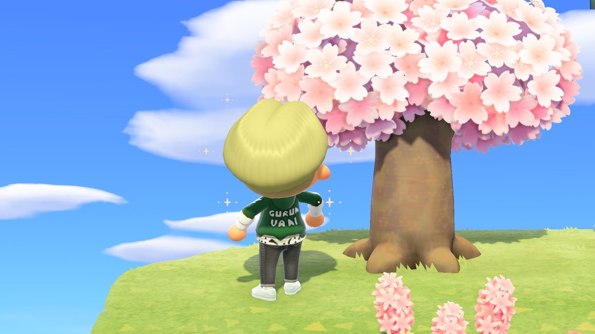 phxkeout's tweet photo. New #gurunvani no.1 hoodie out now ☺️💯 #ACNHDesign #ACNH #NintendoSwitch #AnimalCrossingNewHorizons #AnimalCrossingDesigns https://t.co/u64w3HhnkV