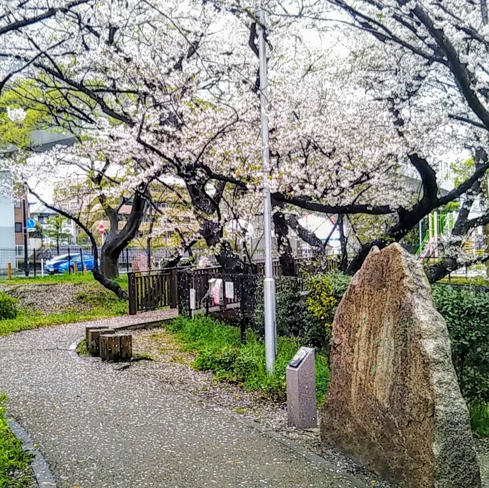 相互もへじ 通知不具合中の為 お返しが不十分です 福岡県 福岡市 桜 花は桜木 人は武士 柱は檜 魚は鯛 小袖はもみじ 花はみよしの 一休宗純 笑いは志村けん もへじ 桧原桜を見て思ったよ 桧原桜 福岡市南区 T Co Pn96hbbvdn