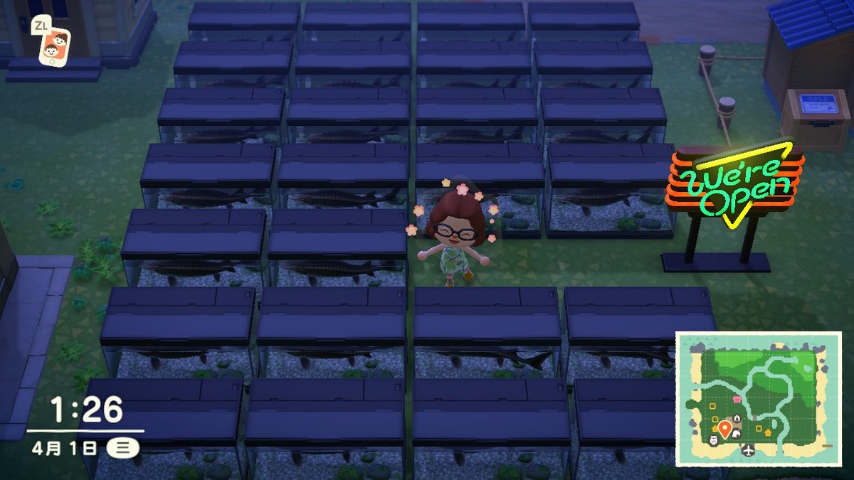 kenwong_rush's tweet photo. #动物森友会 #AnimalCrossing #ACNH #NintendoSwitch https://t.co/wyic3AdVaC