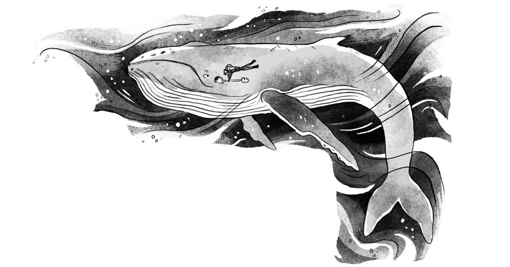 Popular Science tweet media