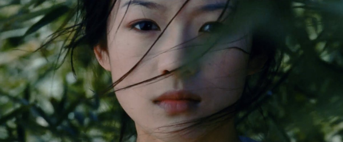 CROUCHING TIGER, HIDDEN DRAGON (Lee, 2000)