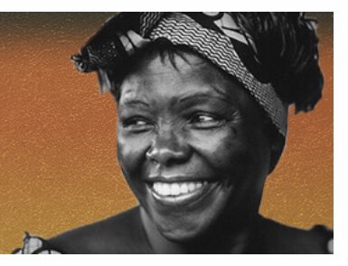 #TodayInBlackHistory 4/1 #HBD #WangariMaathai - #1stContinentalAfricanWoman #NobelLaureate who founded the #environmental #GreenBeltMovement in #Kenya ! ⁦@melanin_network ⁦@barbs73 ⁦@blkwomenradical⁩ ⁦@tzDiscovery ⁦@AfricaNowOnline see: greenbeltmovement.org/wangari-maatha…