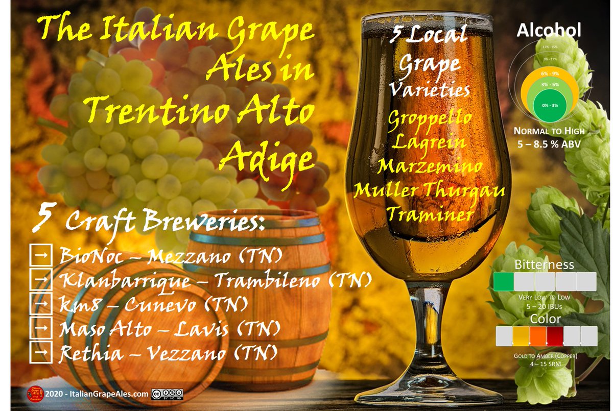 In Trentino Alto Adige 5 #craftbreweries produce 11 #ales using 5 local grape varieties: ℹ️: italiangrapeales.com #craftbeer #craftbeercolture #beertourism #beertravel #beer #beerlovers #italiangrapeale #igas <a href="/bionoc/">Birrificio  BioNoc'</a> <a href="/klanbarrique/">Klanbarrique</a> <a href="/MasoAlto/">Birrificio Maso Alto</a> <a href="/BirraRethia/">Birrificio Rethia</a>