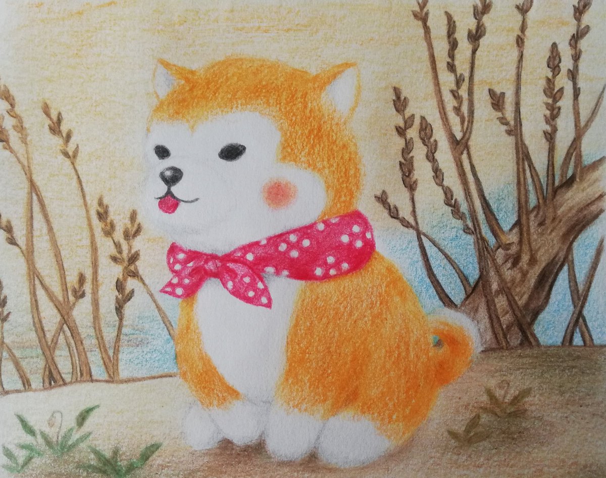 まさお ご主人が描いてくれたよ どこかで見たような絵だなぁ アミュキャライラストコンテスト 豆しば三兄弟 まさお T Co Wtpgqvfbow Twitter