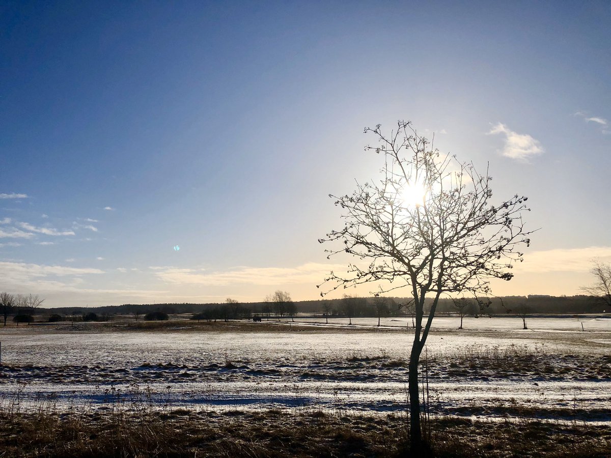 #elämänikuvina #mylifeinpictures 4/7 Ei sanoja, ei ihmisiä, tänään ei haastettakaan.