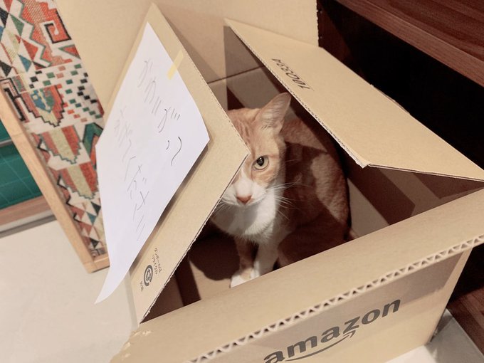 青の祓魔師 が含まれるtwitterの漫画 人気順