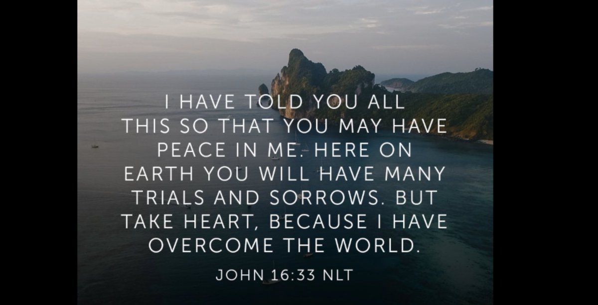 TonyDungy's tweet photo. We are going through a difficult time right now. . There is a lot of confusion, fear, and difficulty because of this virus.  But Jesus said we can have peace during tough times and that’s what I’m counting on today—the promises of John 16:33 https://t.co/gyZUeZW8kF